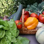 Bed & Breakfast La Champreniere Saint-Paul-en-Pareds