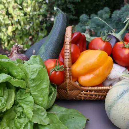 Bed & Breakfast La Champreniere Saint-Paul-en-Pareds