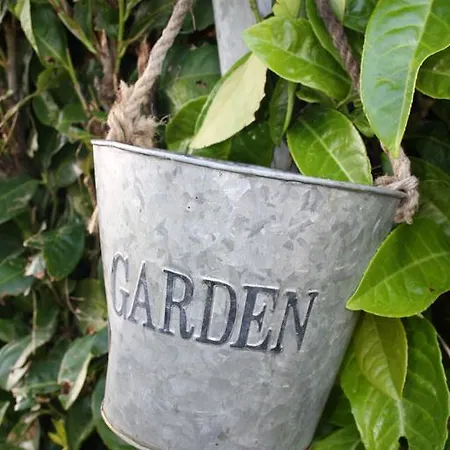 Bed & Breakfast La Champreniere 3*