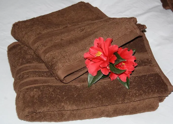 查姆普乐尼尔住宿加早餐旅馆 3* Saint-Paul-en-Pareds