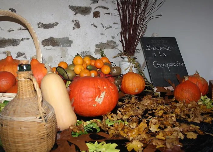 查姆普乐尼尔住宿加早餐旅馆