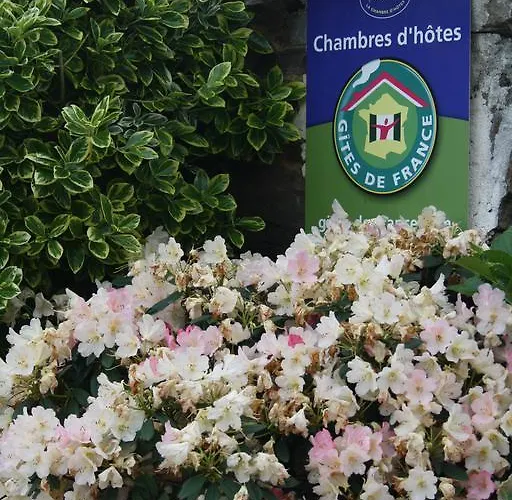 查姆普乐尼尔住宿加早餐旅馆 住宿加早餐酒店 Saint-Paul-en-Pareds