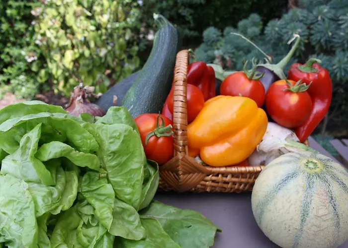 住宿加早餐酒店 查姆普乐尼尔住宿加早餐旅馆 Saint-Paul-en-Pareds