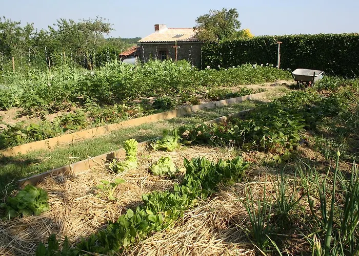 查姆普乐尼尔住宿加早餐旅馆 3* Saint-Paul-en-Pareds