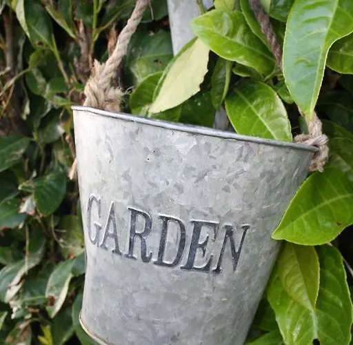 住宿加早餐酒店 查姆普乐尼尔住宿加早餐旅馆 3*